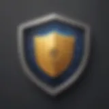 Privacy Shield Icon