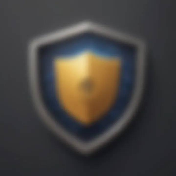 Privacy Shield Icon