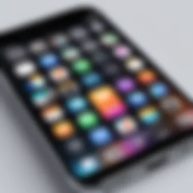 Sleek Design of Top iPhone List Apps User interface of a popular iPhone list app showcasing organization features