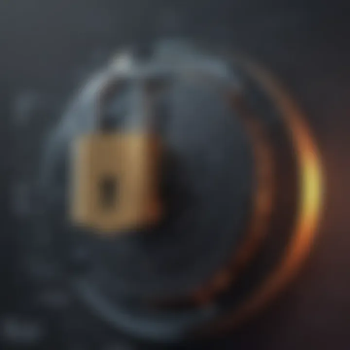 Cyber Security Lock Concept