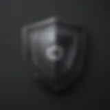 Digital Security Shield Icon