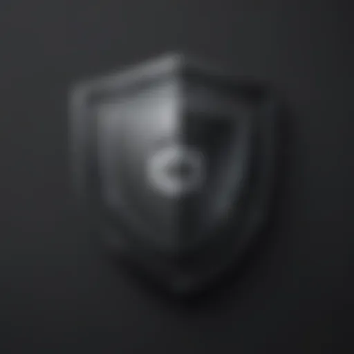 Digital Security Shield Icon