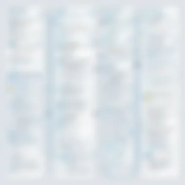 Innovative software selection process visualization