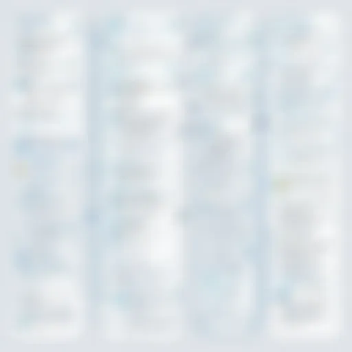 Innovative software selection process visualization