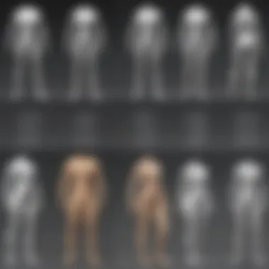 Clothing Design Evolution Evolution of clothing design with Adobe software