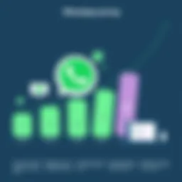Historical evolution of WhatsApp pricing