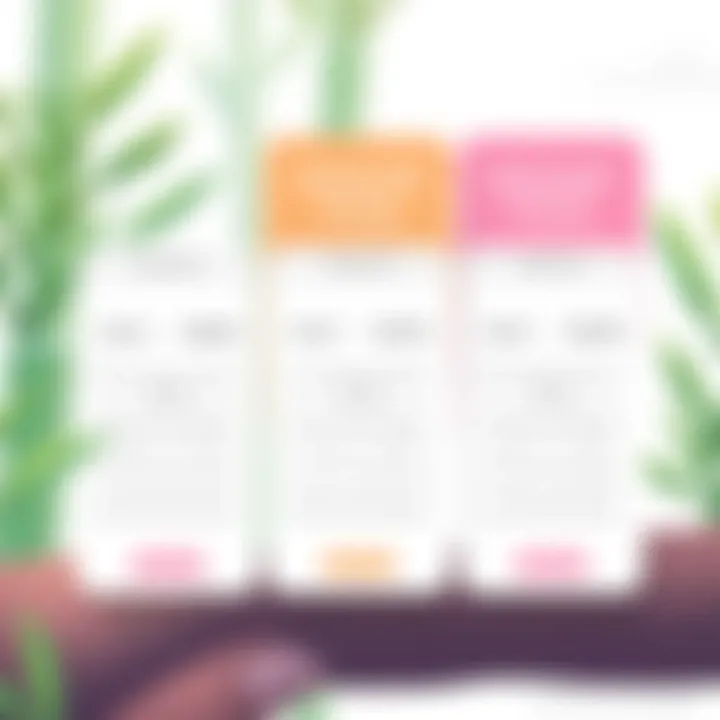 Overview of BambooHR pricing plans