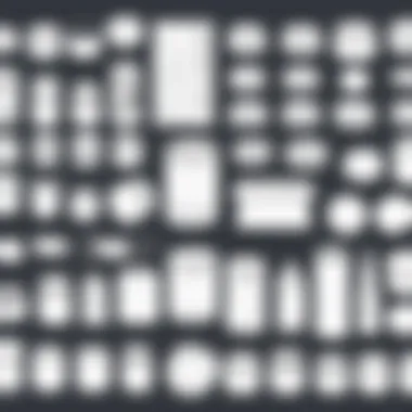 Visual examples of various Clip Studio Paint asset types