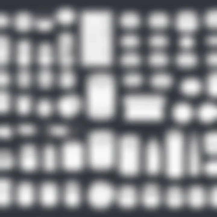 Visual examples of various Clip Studio Paint asset types