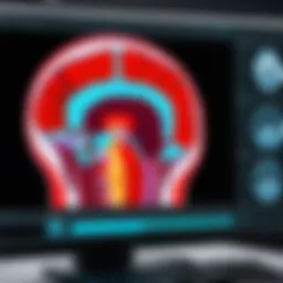 Radiology software interface showcasing advanced imaging capabilities