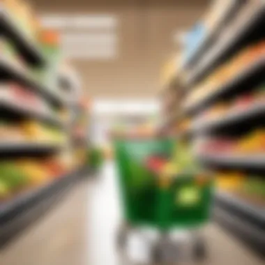 Grocery Delivery Services Comparison A comparison chart of grocery delivery services showcasing features and pricing.