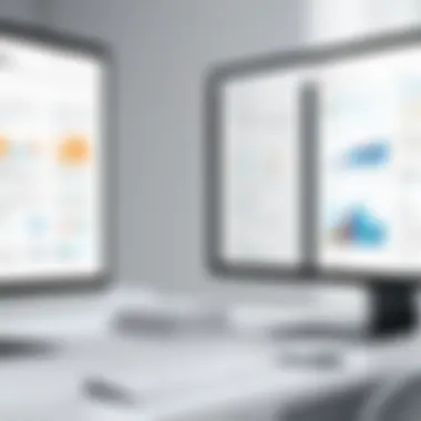 Objective Analysis Techniques in Software Review An infographic illustrating objective analysis methods