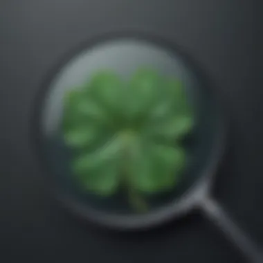 Magnifying glass focusing on clover leaf highlighting software decision-making