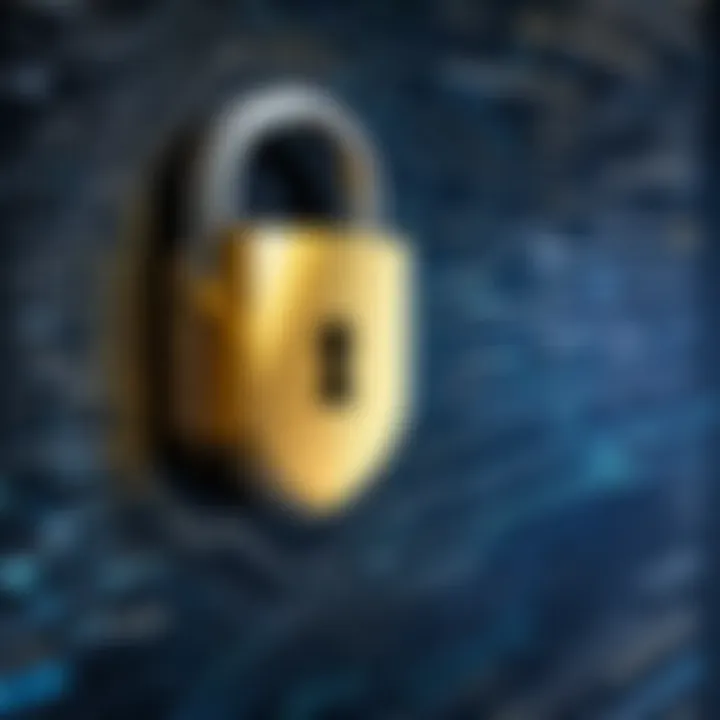 Financial Data Encryption Visualization