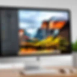 User navigating MacPaw software interface