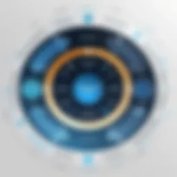 A conceptual diagram illustrating the patent management cycle