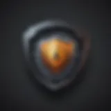 Security Shield Icon