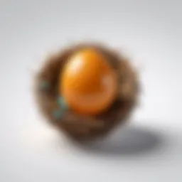 Visual representation of a nest egg symbolizing savings